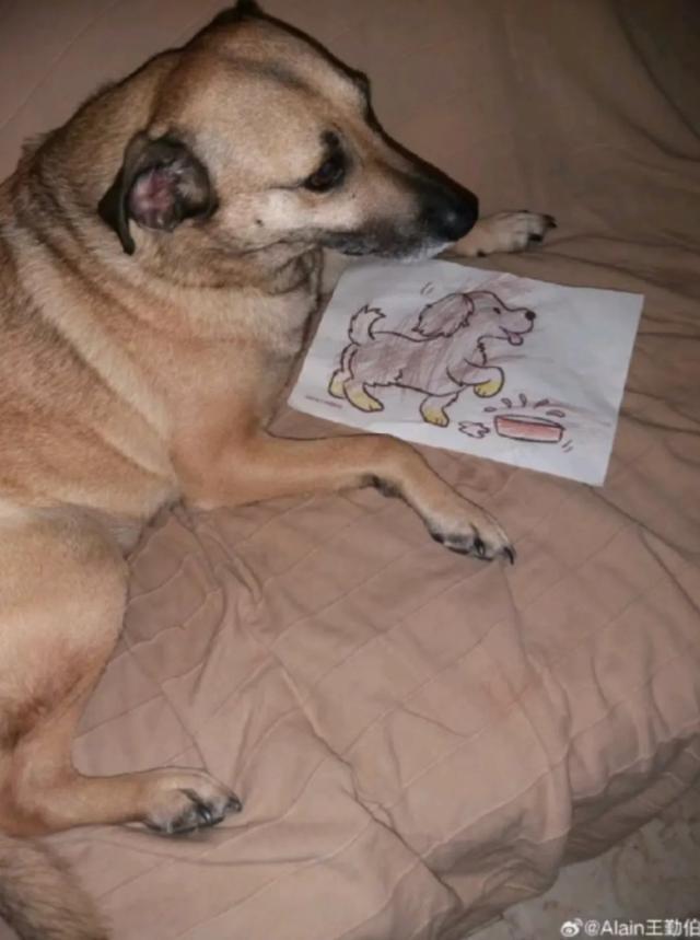 1725789611598003301.jpg 1725789279585.jpg