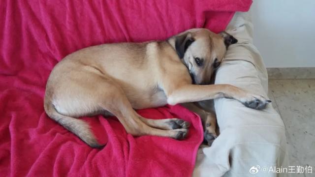 1725789636781037724.jpg 1725789294837.jpg